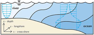 Persistent Hydrodynamic Cues Elicit Orientation-Specific Behavioral Sensitivities and Kinematic Responses in Dispersed Crab Larvae